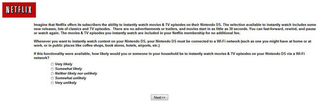 Illustration for article titled Survey Says Netflix Pondering Nintendo DS Streaming